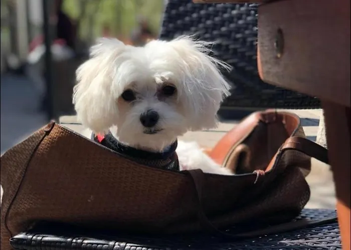 Hanza Tower Lux Jacuzzi & Sauna & Pool *